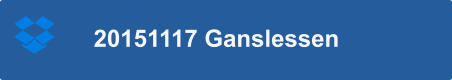 20151117 Ganslessen